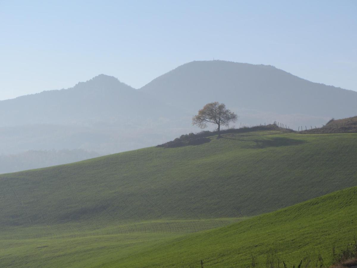 Casale Le Fontanelle Otel Monte Grimano Terme Dış mekan fotoğraf