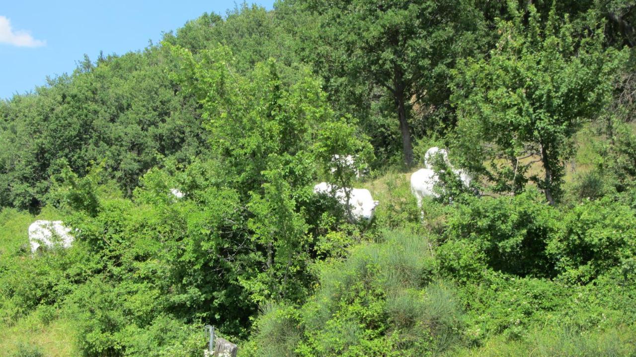 Casale Le Fontanelle Otel Monte Grimano Terme Dış mekan fotoğraf