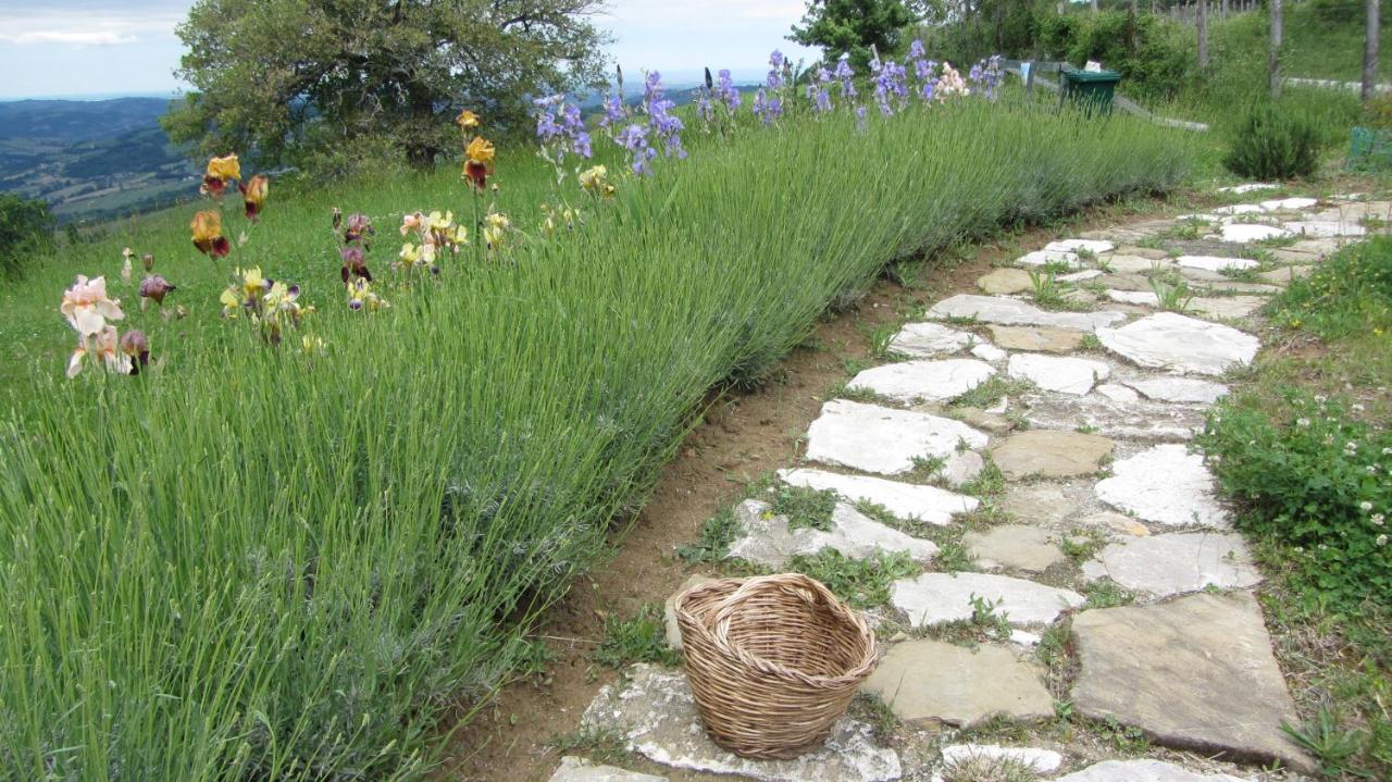 Casale Le Fontanelle Otel Monte Grimano Terme Dış mekan fotoğraf