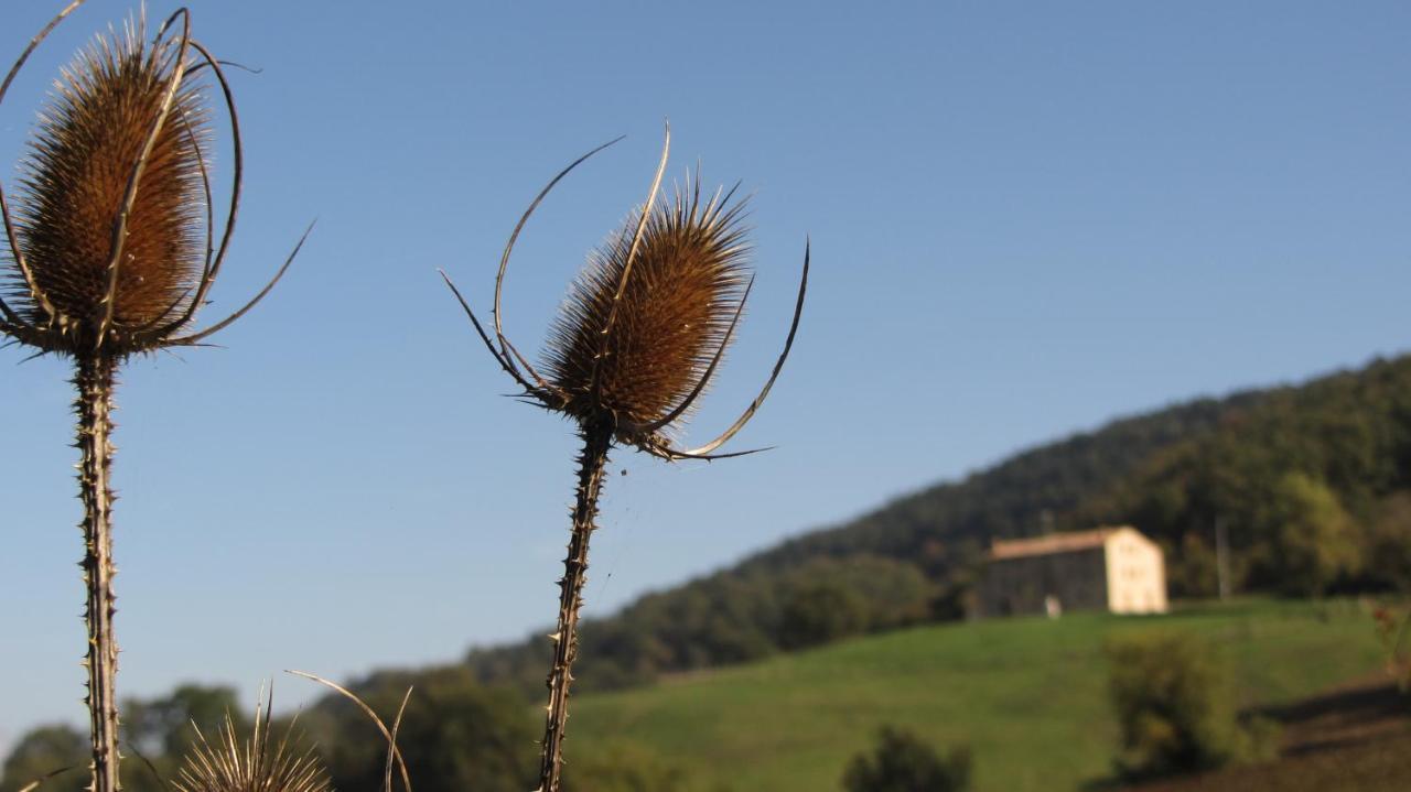 Casale Le Fontanelle Otel Monte Grimano Terme Dış mekan fotoğraf