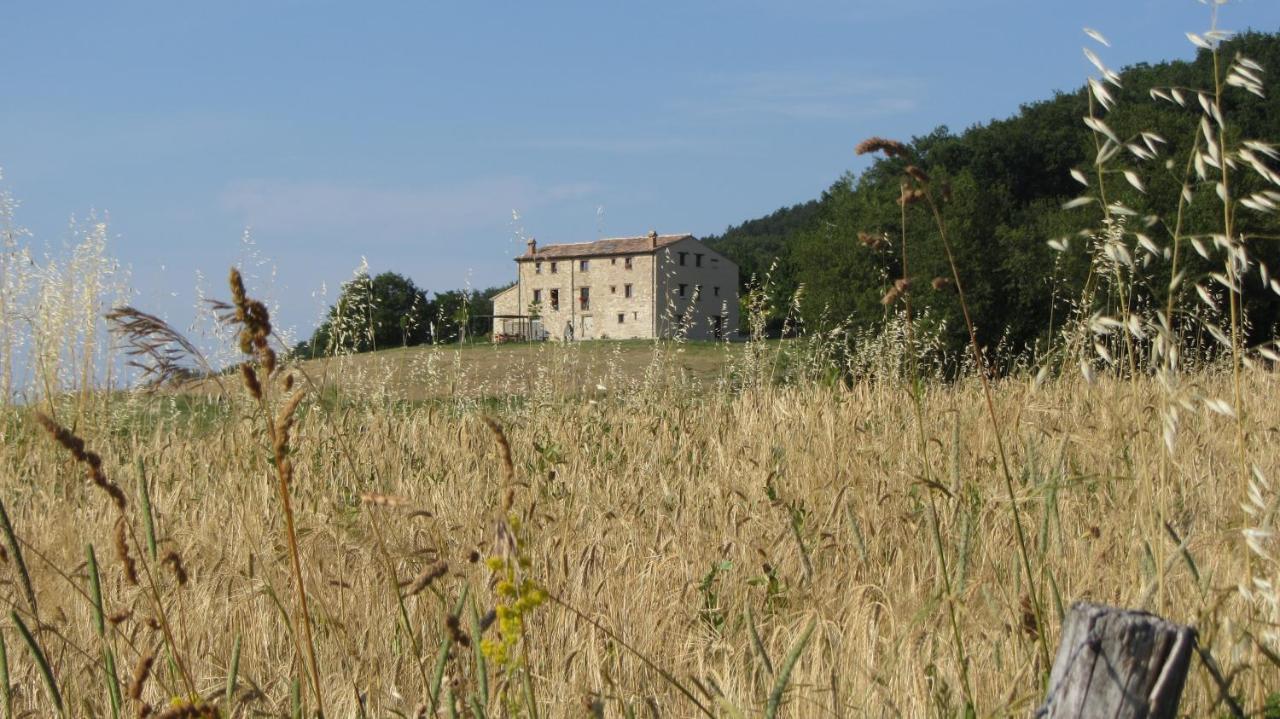 Casale Le Fontanelle Otel Monte Grimano Terme Dış mekan fotoğraf