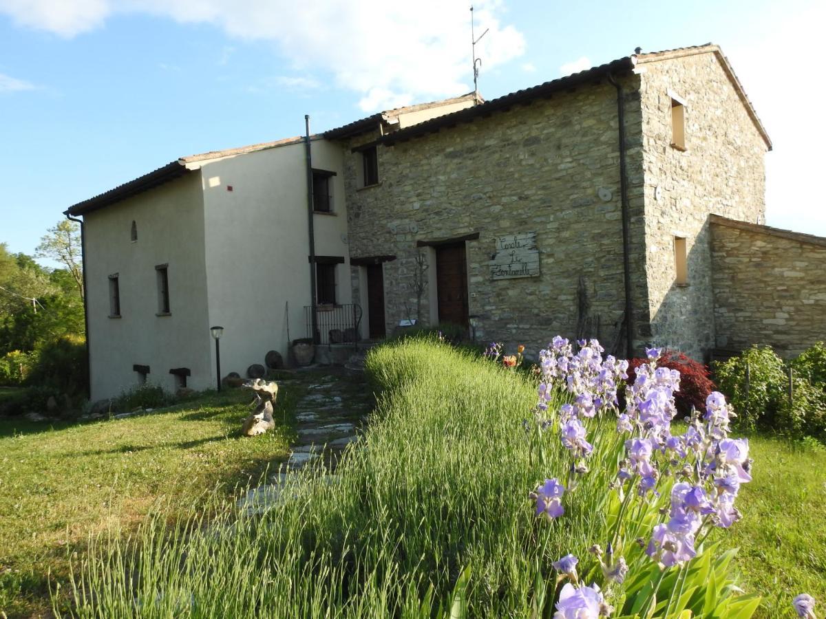 Casale Le Fontanelle Otel Monte Grimano Terme Dış mekan fotoğraf